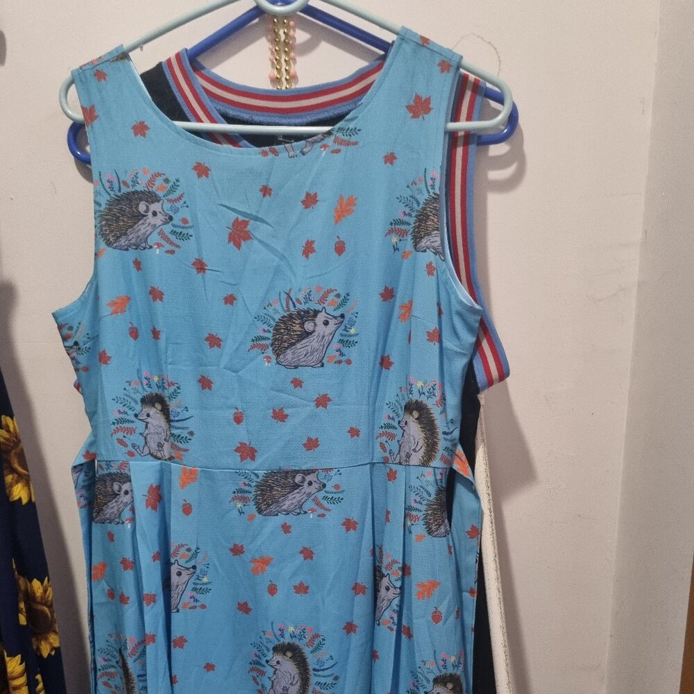 Blue hedgehog skater dress